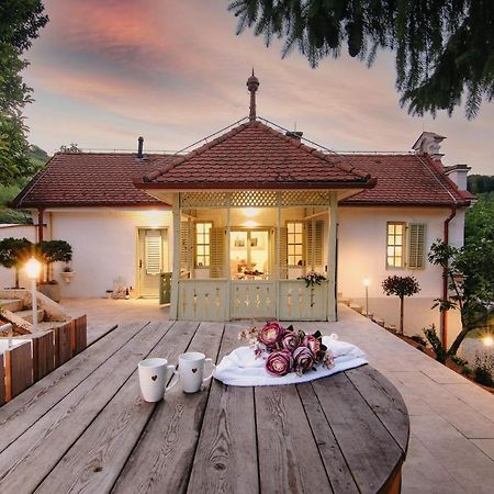 Vila Vilma Vineyard Cottage Lendva Kültér fotó
