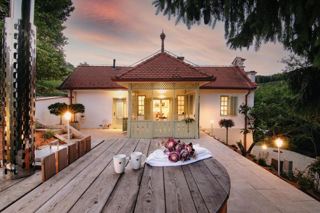 Vila Vilma Vineyard Cottage Lendva Kültér fotó
