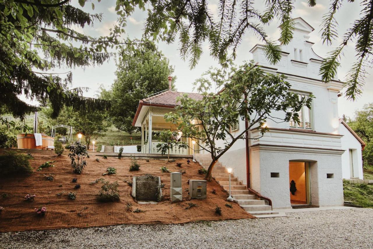 Vila Vilma Vineyard Cottage Lendva Kültér fotó