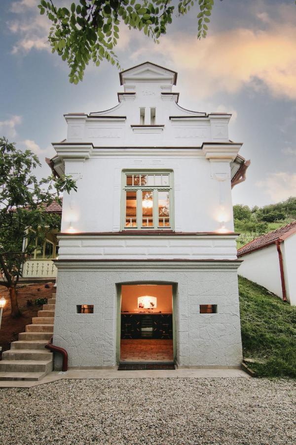 Vila Vilma Vineyard Cottage Lendva Kültér fotó